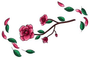 rose